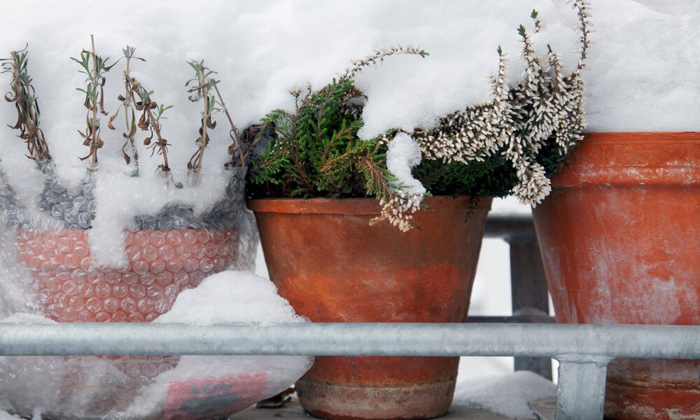 Von Schnee bedeckte Blumenkübel auf einem Balkon | © Adobe Stock/ Friedberg