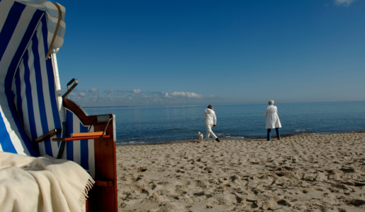 Hund Timmendorfer Strand | © Adobe Stock/Gudrun