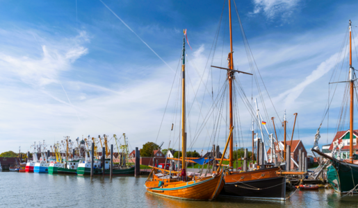 Ditzum_Nordsee | © Adobe Stock/Dr. Jürgen Tenckhoff