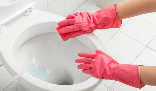 Zwei Hände in pinken Gummihandschuhen reinigen mit einem roten Schwamm den weißen Toilettenrand in einem gefliesten Badezimmer. | © Adobe Stock/ Impact Photography