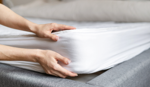 Silberfische_Bett | © Adobe Stock/brizmaker