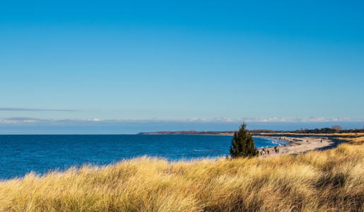 Dierhagen | © Adobe Stock/Rico Ködder