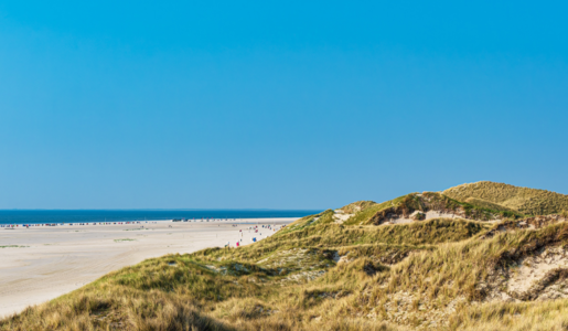Insel Amrum | © Adobe Stock/Rico Ködder