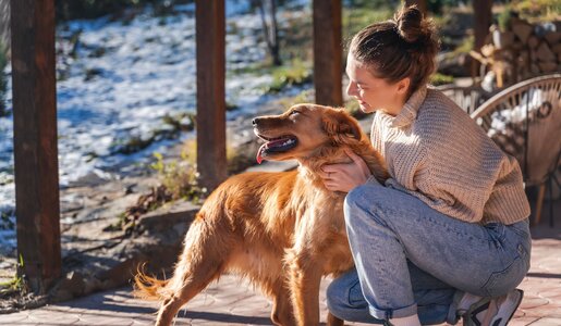 Junge Frau mit braunem Dutt in Strickpullover und Jeans streichelt lachend einen goldenen Retriever auf einer sonnigen Terrasse. | © Adobe Stock / olezzo