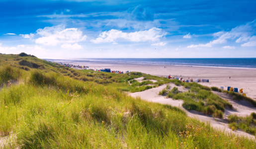 Insel Juist | © Adobe Stock/Fokussiert