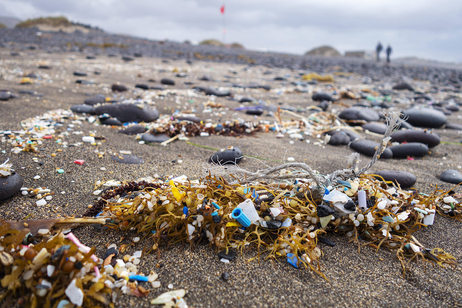 Die unsichtbare Gefahr: Mikroplastik | © Imago