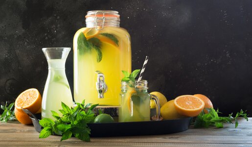 Wasser mit Orangenscheiben und frischer Minze vor dunklem Hintergrund. | © Getty Images / Svetlana-Cherruty