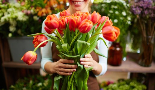Tulpen | © Getty Images/shironosov
