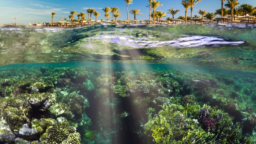 Marsa Alam_Ägypten | © Getty Images/Anton Petrus