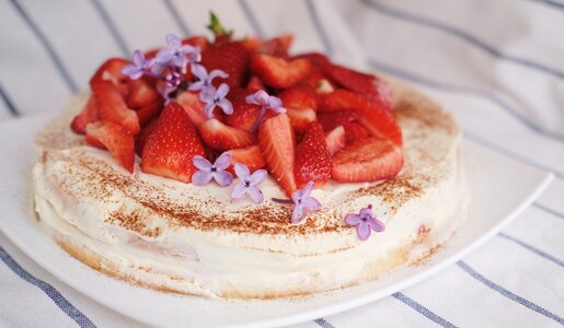 Erdbeer-Torte mit frischen Erdbeeren on top. | © Getty Images / Mariia Zotova