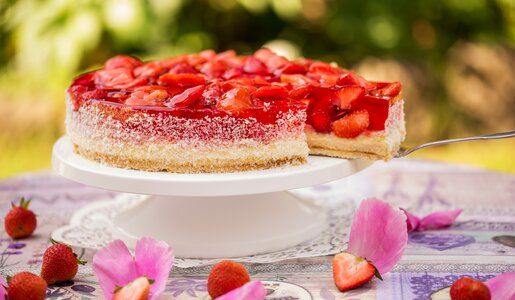 Eisgekühlter Joghurtkuchen mit Erdbeeren in sommerlicher Umgebung auf Tortenboden. | © Adobe Stock / cstirit