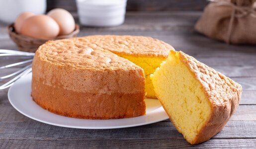 Angeschnittener Joghurtkuchen auf einem Teller angerichtet, ein Stück am Teller lehnend. | © Adobe Stock / qwartm