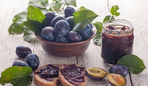 Pflaumenmarmelade in einem Glas, offen, davor mit Marmelade bestrichene Brote und viele frische Pflaumen. | © Getty Images / 	igorartmd