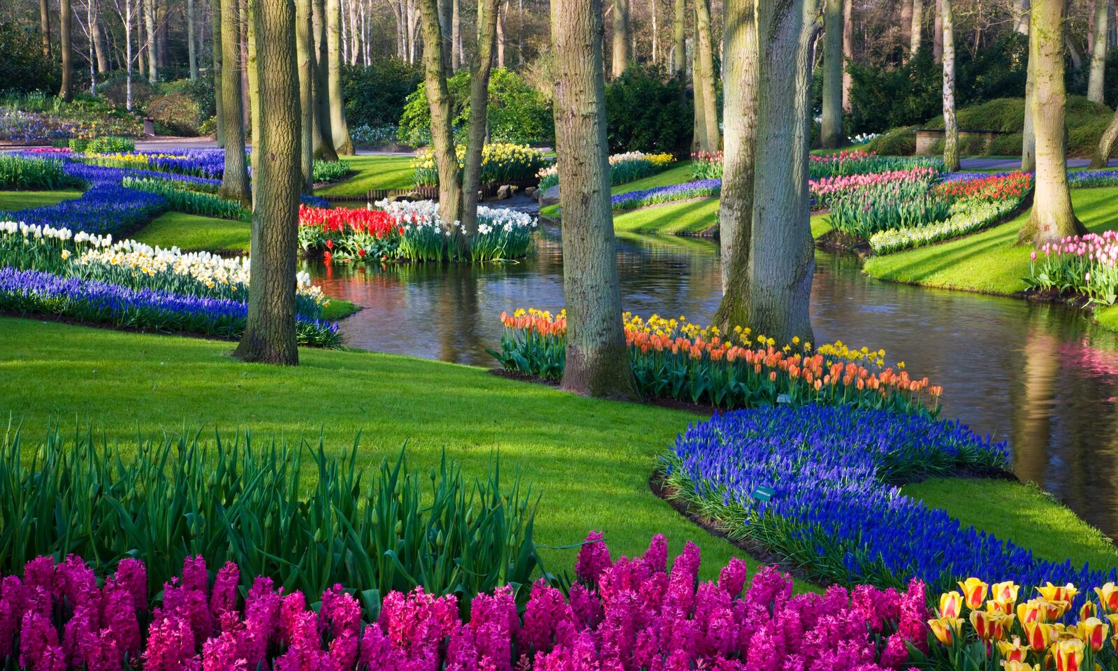 Keukenhof Neiderlande | © Getty Images/Darrell Gulin